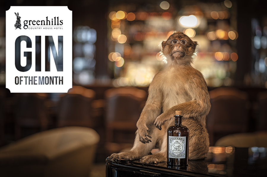 August’s Gin of the Month: Monkey 47