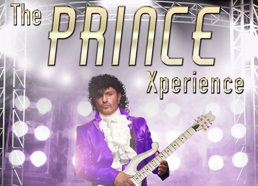 Prince Xperience 100623