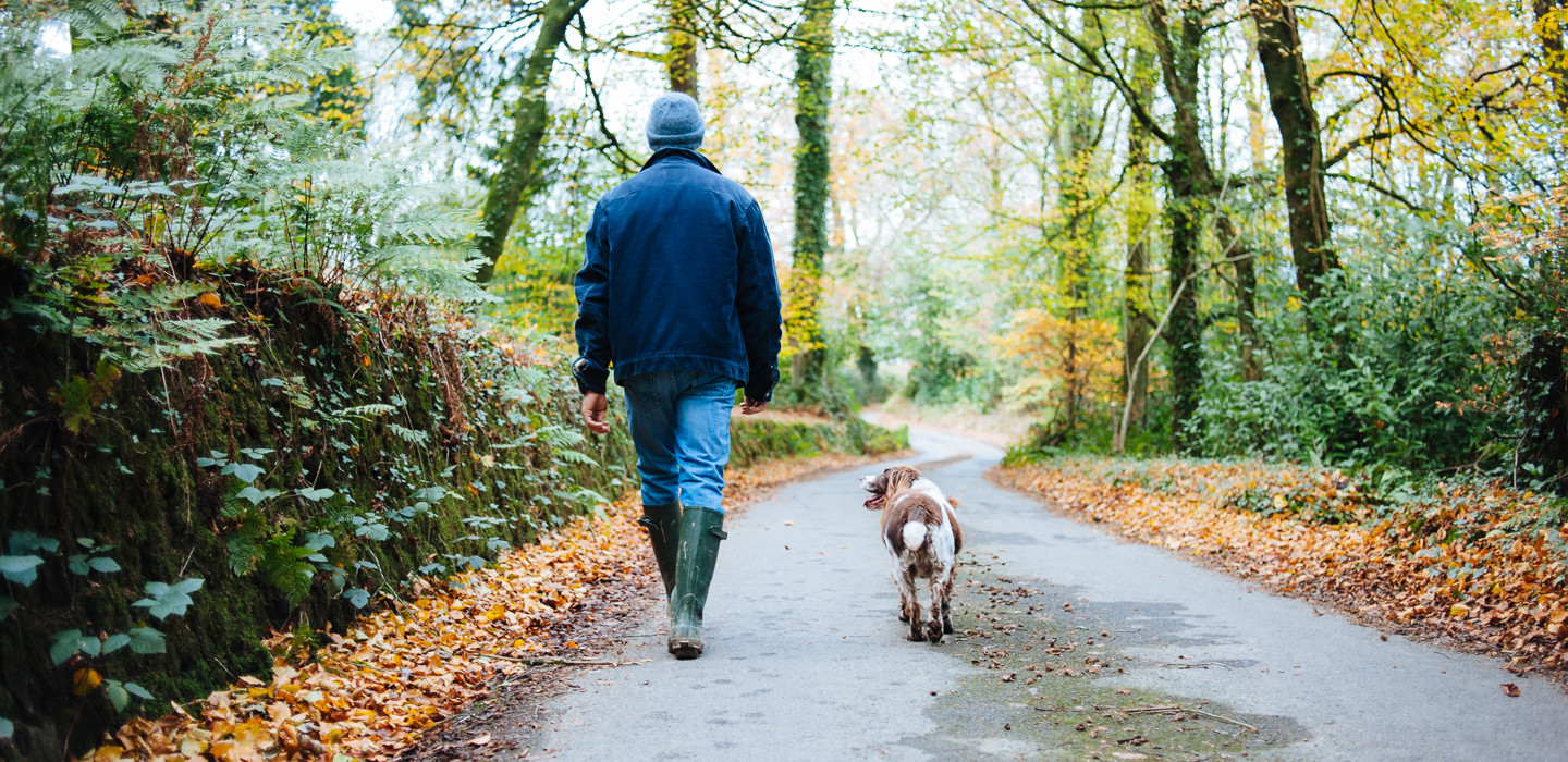 Adobestock 178314083