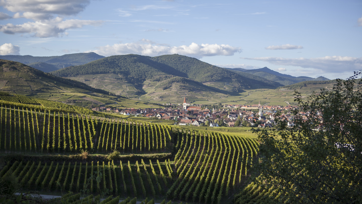 13 Paysage Village Ammerschwirhd